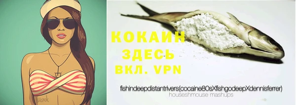 2c-b Бородино