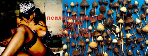 2c-b Бородино