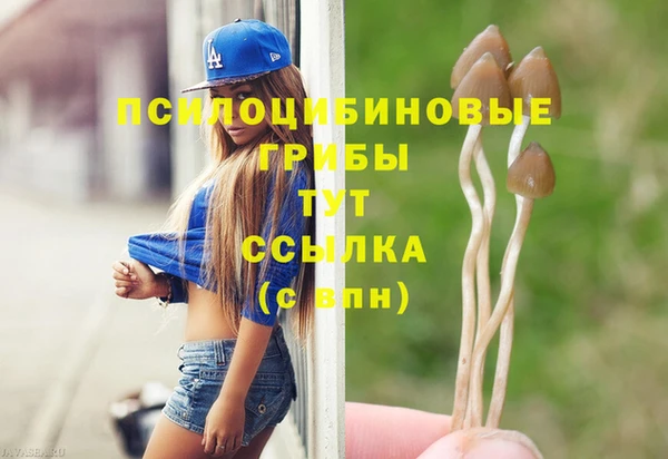 2c-b Бородино