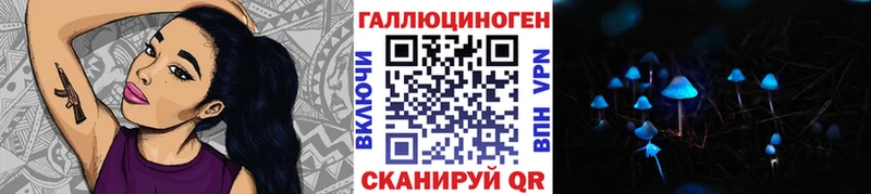 Купить  Ветлуга  Псилоцибиновые грибы ЛСД 